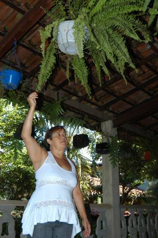 Trabalho do agente de saúde é essencial no combate à dengue