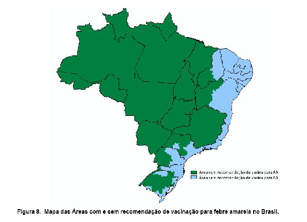 Viajantes devem ser vacinados contra febre amarela